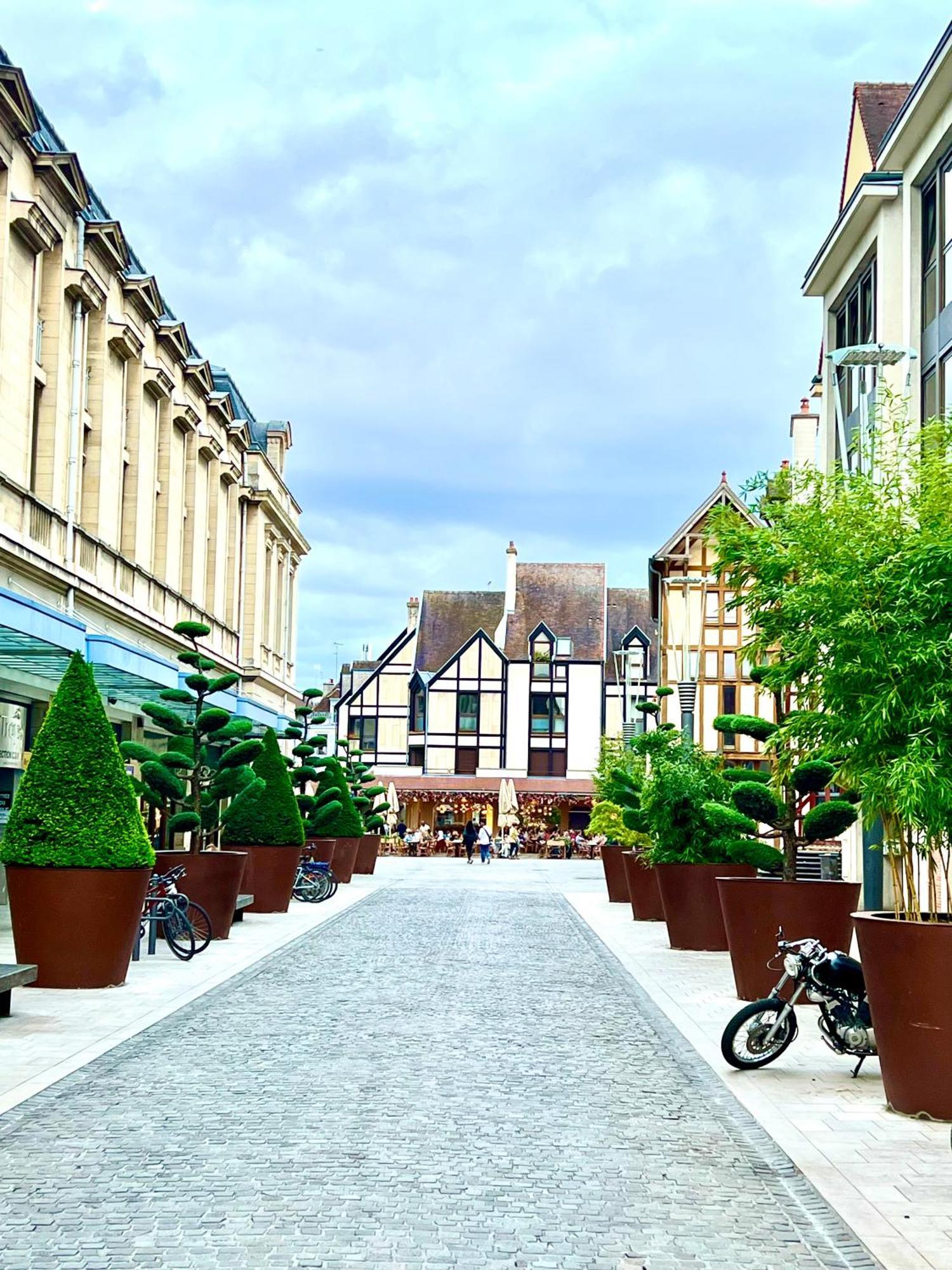 Spa Et Sauna Luxueux Hyper Centre Troyes Buitenkant foto